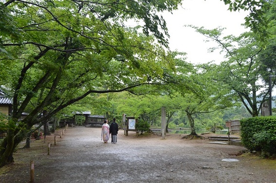 DSC_0241.JPGのサムネイル画像