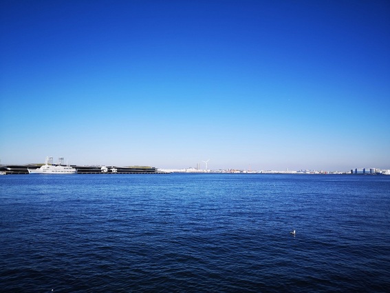 IMG_20181029_112512 (1).jpg